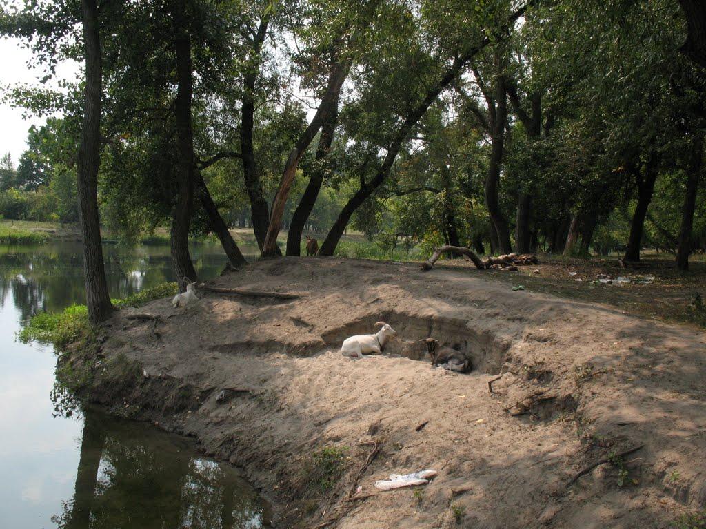 Балаклія з panoramio.com - Балаклея
