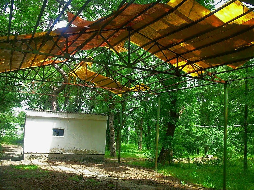 Краснолісся з panoramio.com - Краснолесье