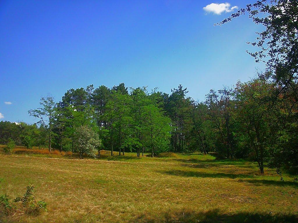 Научний з panoramio.com - Научный