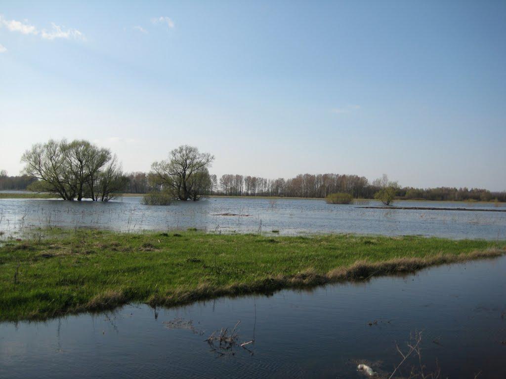 Озаричі з panoramio.com - Озаричи