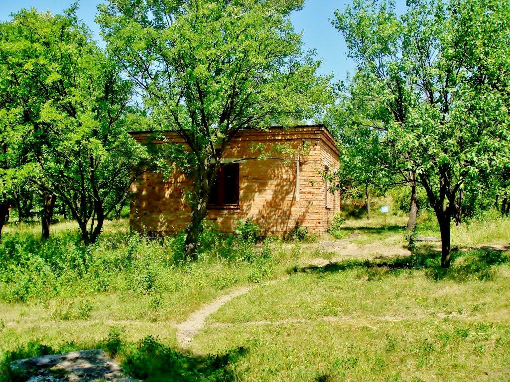 Гудзівка з panoramio.com - Гудзівка