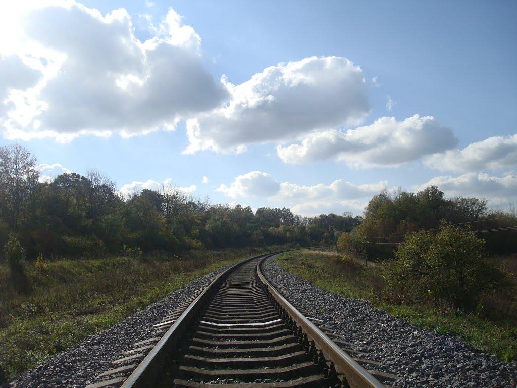 Заруддя з panoramio.com - Зарудье