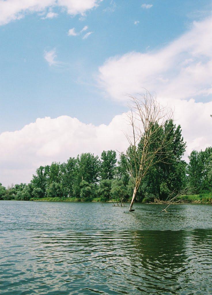 Яськи з panoramio.com - Яськи