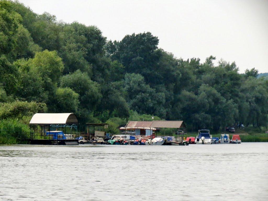 Станично-Луганське з panoramio.com (ч.2) - Станично-Луганское
