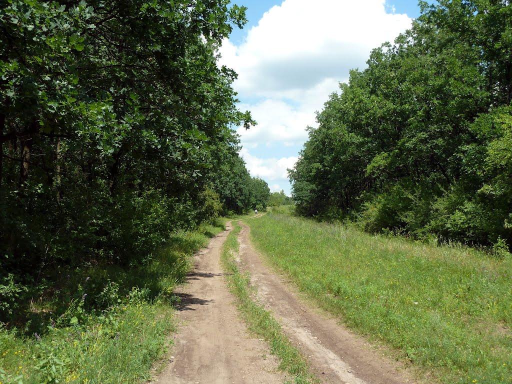 Олександрівка з panoramio.com - Александровка