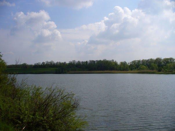 Богоявленка з panoramio.com - Богоявленка