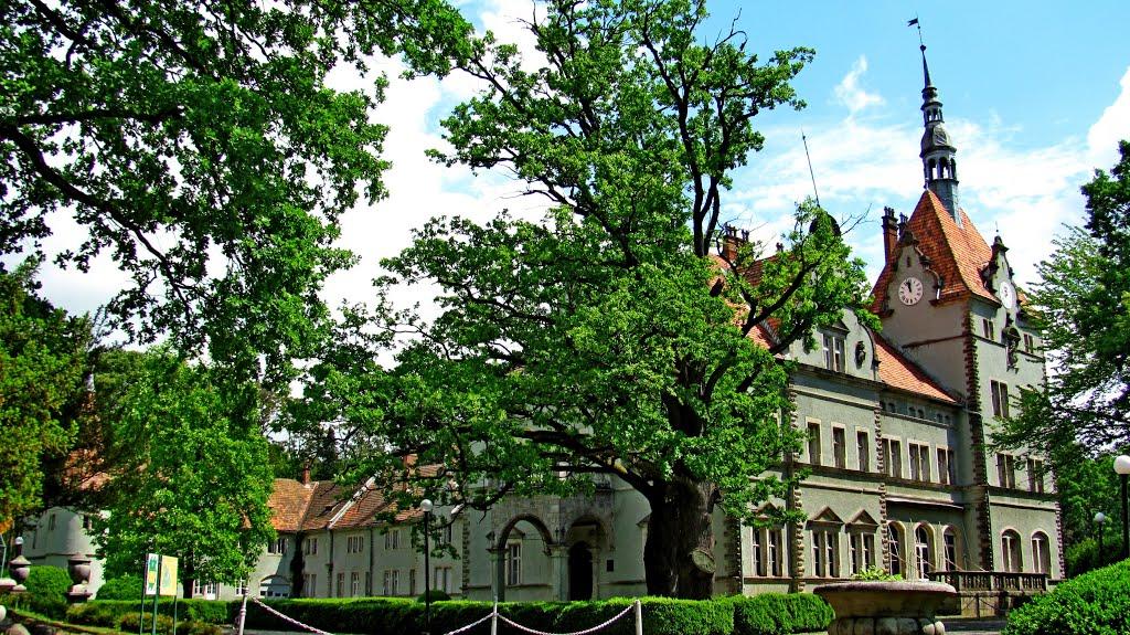 Карпати з panoramio.com - Карпаты