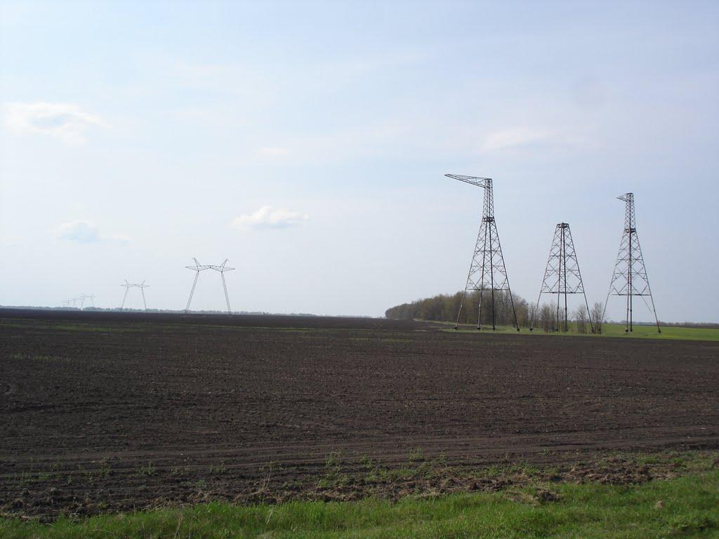 Вишнівське з panoramio.com - Вишнівське