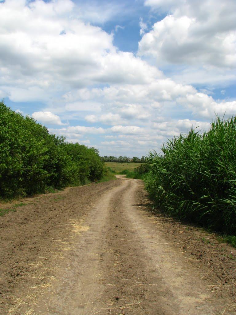 Калинівське з panoramio.com - Калинівське