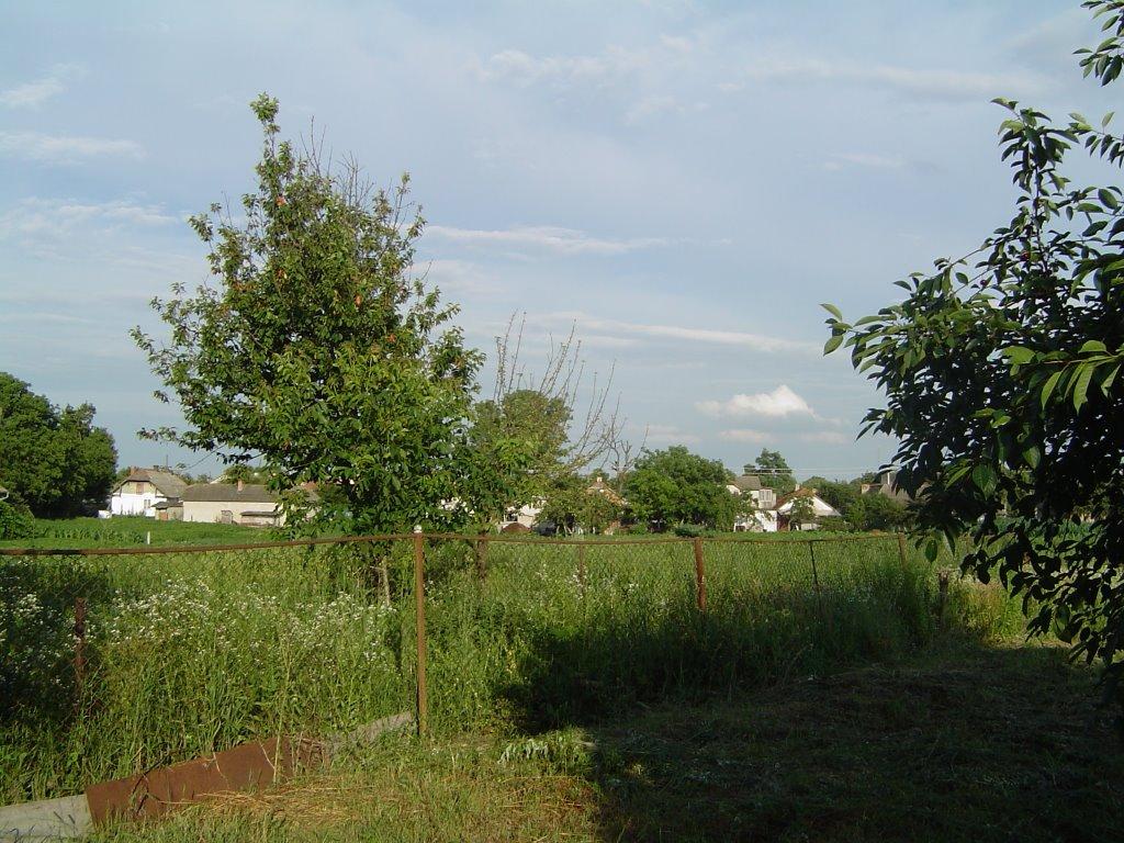 Нагірянка з panoramio.com - Нагорянка