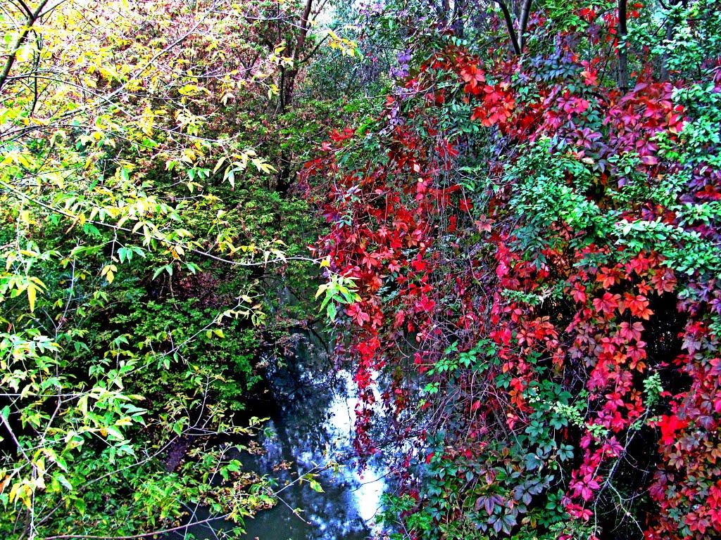 Рудки з panoramio.com - Рудки