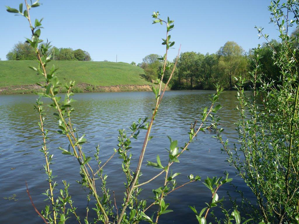 Підліснівка з panoramio.com - Подлесновка