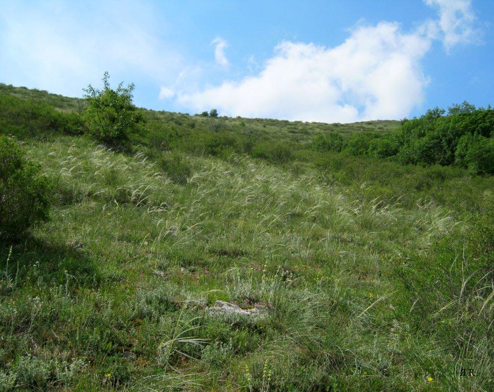 Перевальне з panoramio.com - Перевальное