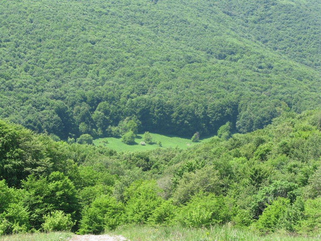 Чайковське з panoramio.com (ч.2) - Чайковское