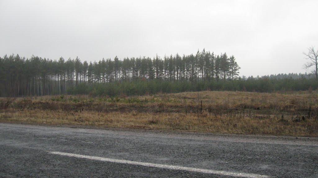 Дубіївка з panoramio.com - Дубіївка