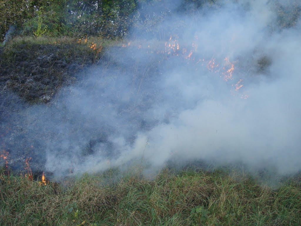 Климашівка з panoramio.com - Климашівка
