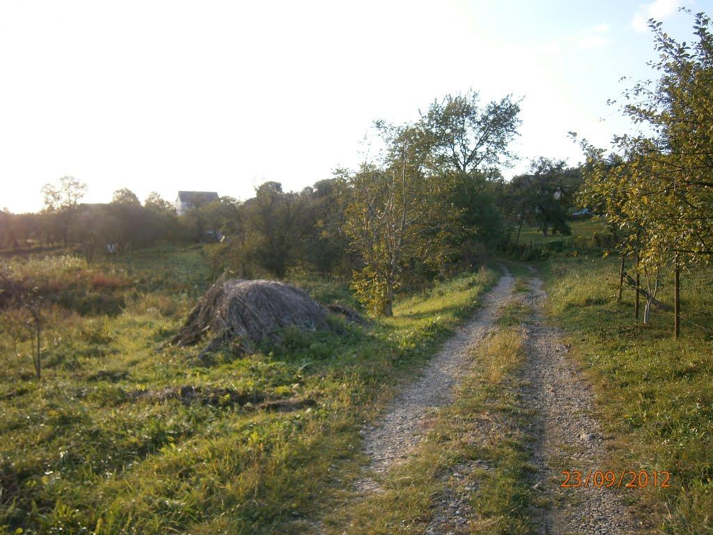 Берездівці з panoramio.com - Berezdivtsi