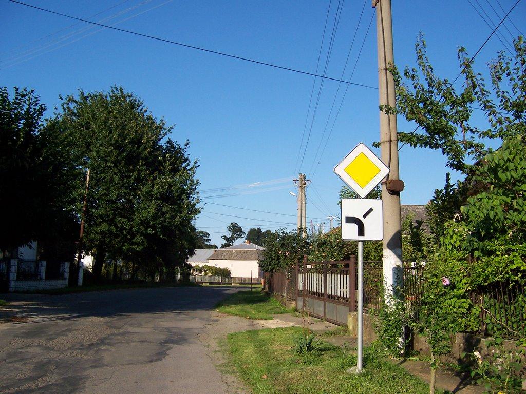 Сторожниця з panoramio.com - Сторожница