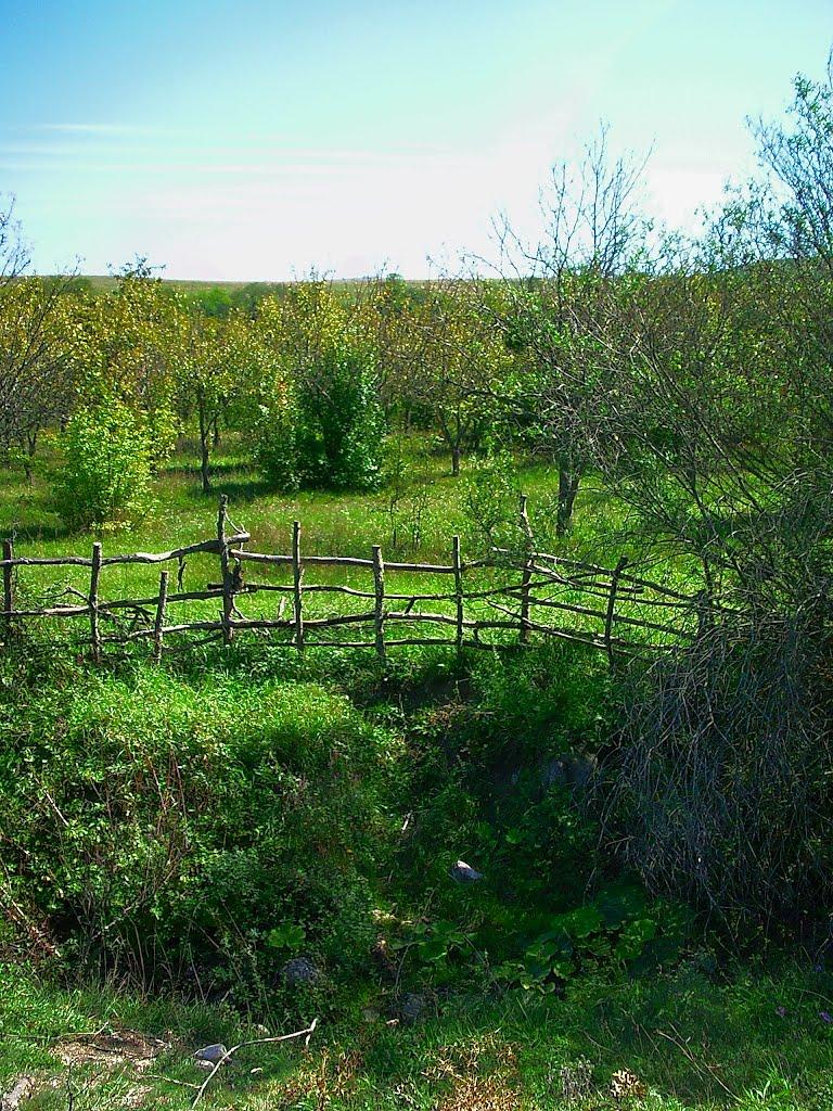 Нагірне з panoramio.com - Нагорное