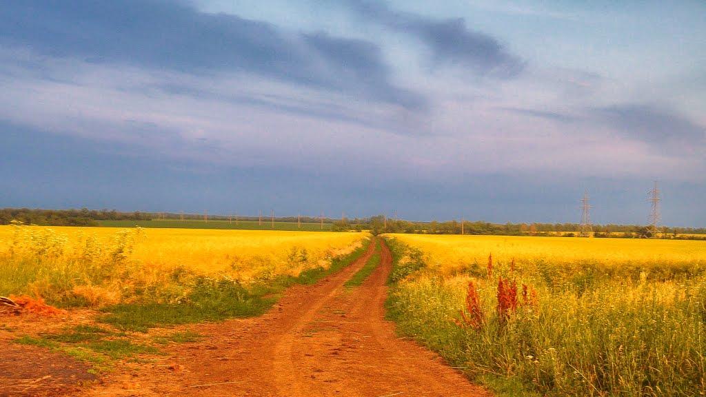 Первомайськ з panoramio.com (ч.2) - Первомайск