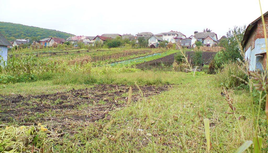 Рогачин з panoramio.com - Rogachyn