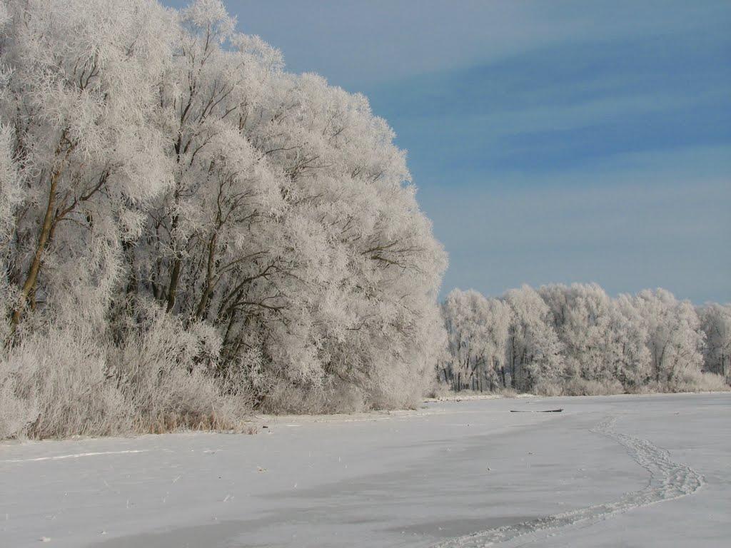 Куковичі з panoramio.com - Kukovychi