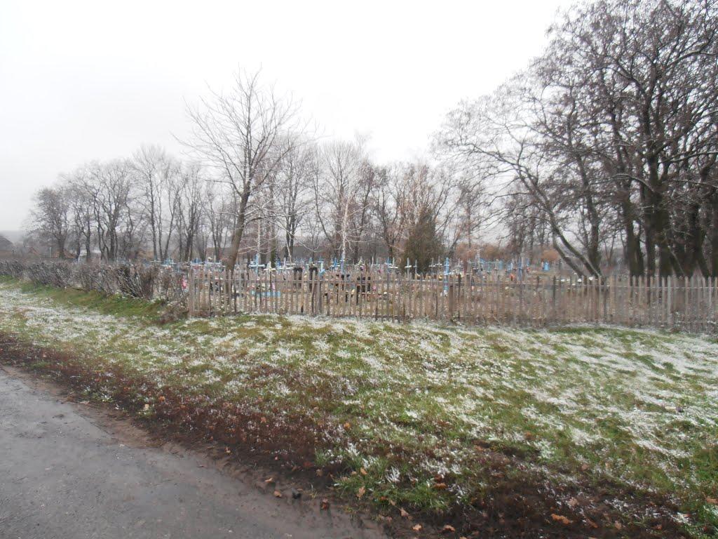 Черемушна з panoramio.com - Черемушна