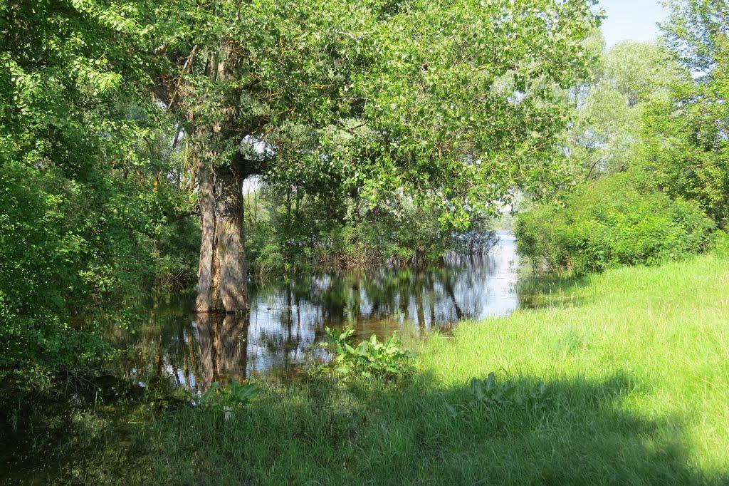 Тубільці з panoramio.com - Тубільці