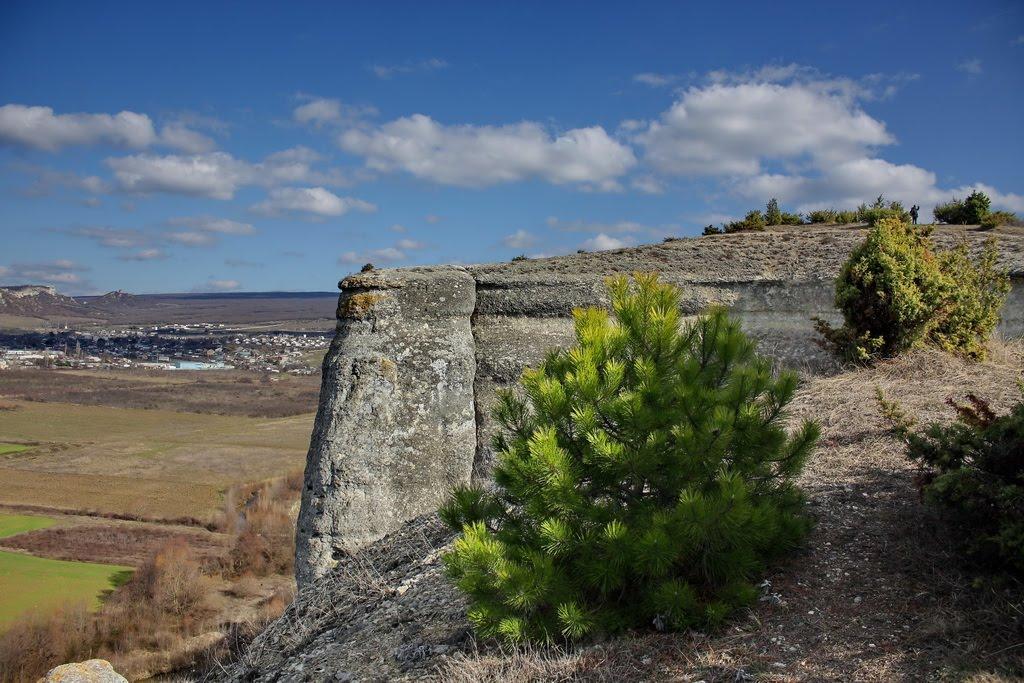 Красний Мак з panoramio.com - Красный Мак