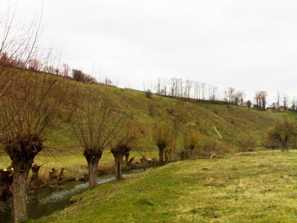 Голозубинці з panoramio.com - Голозубинці