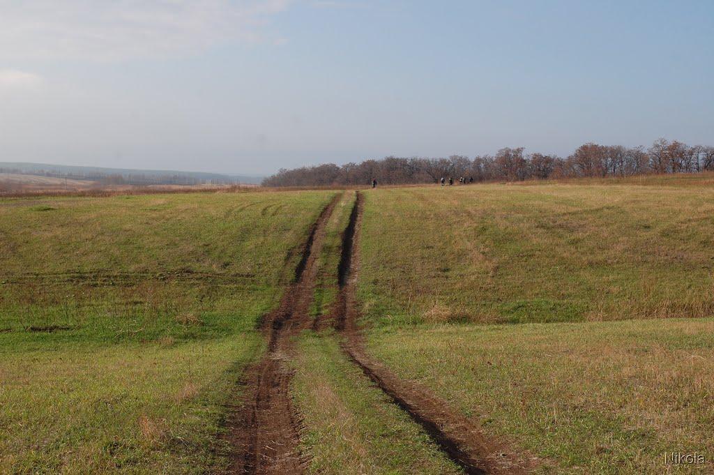 Лозуватка з panoramio.com - Lozuvatka