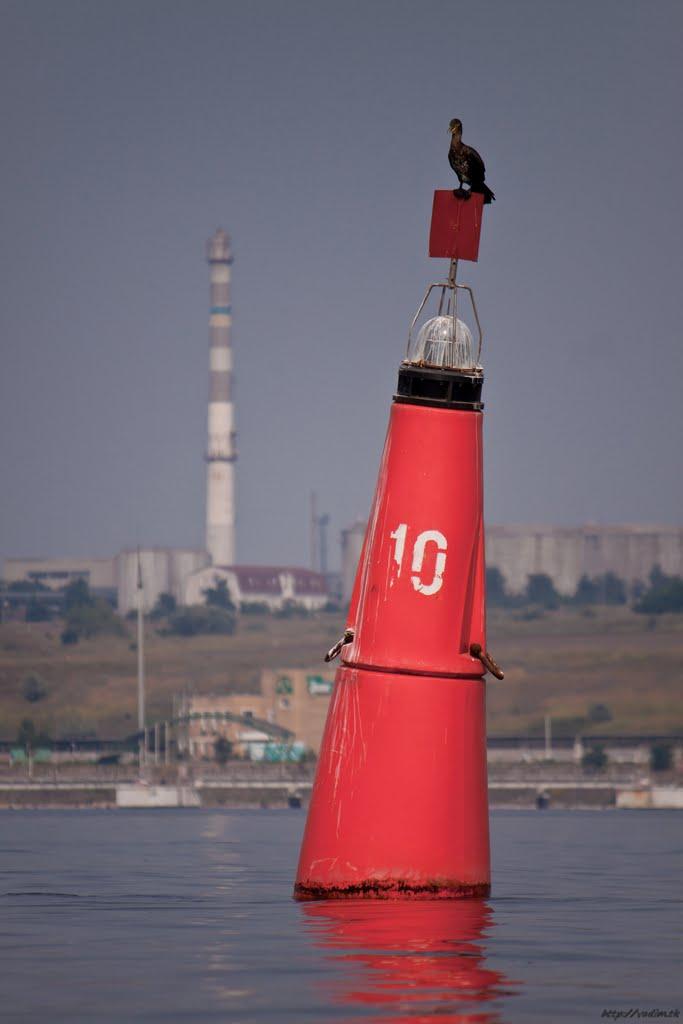 Григорівка з panoramio.com - Григорівка