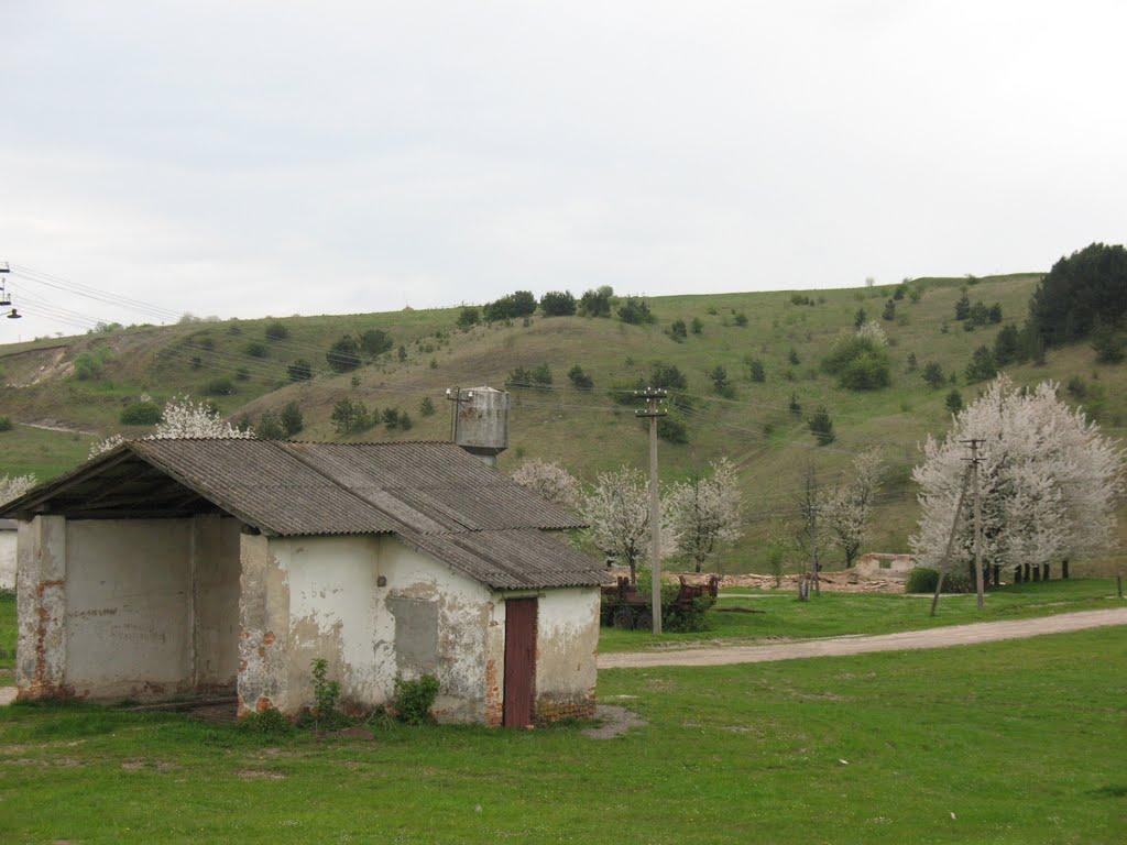 Подусів з panoramio.com - Подусів