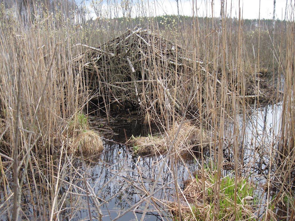 Руденька з panoramio.com - Руденька