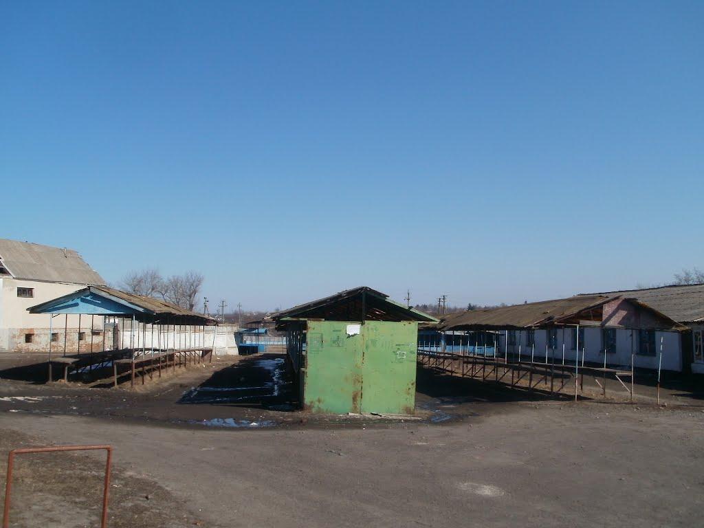 Теплик з panoramio.com - Теплик