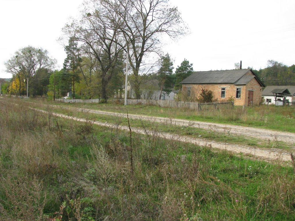 Троянівка з panoramio.com - Троянівка