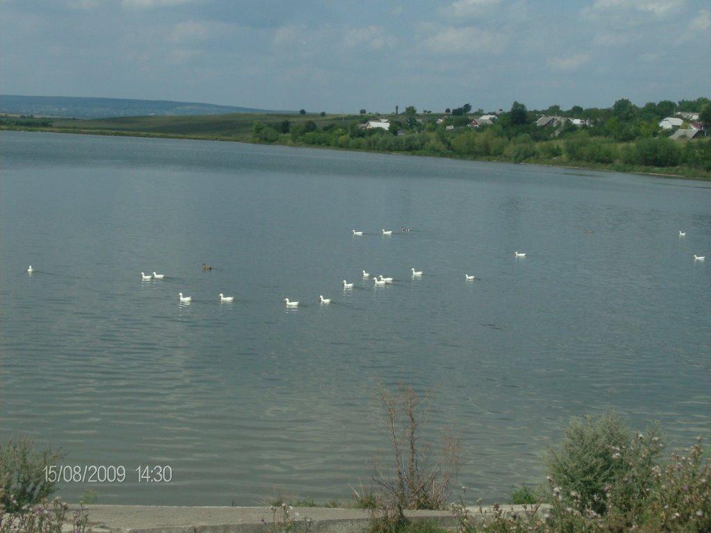 Рокитне з panoramio.com - Rokytne