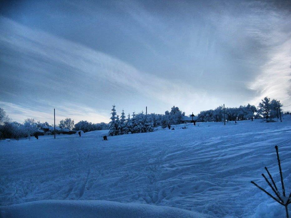 Дубове з panoramio.com - Дубове