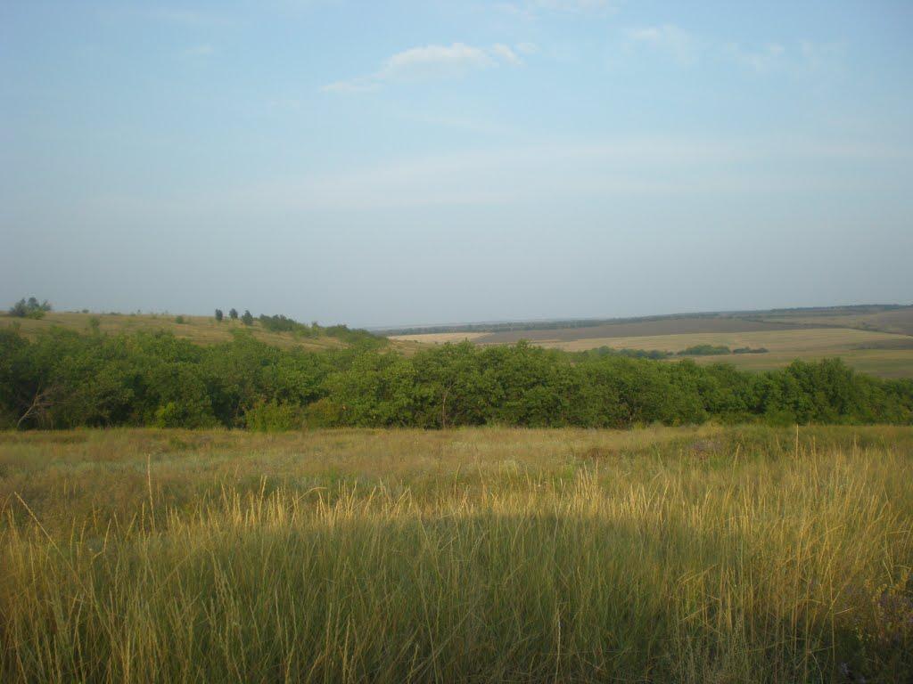 Білоскелювате з panoramio.com - Белоскелеватое