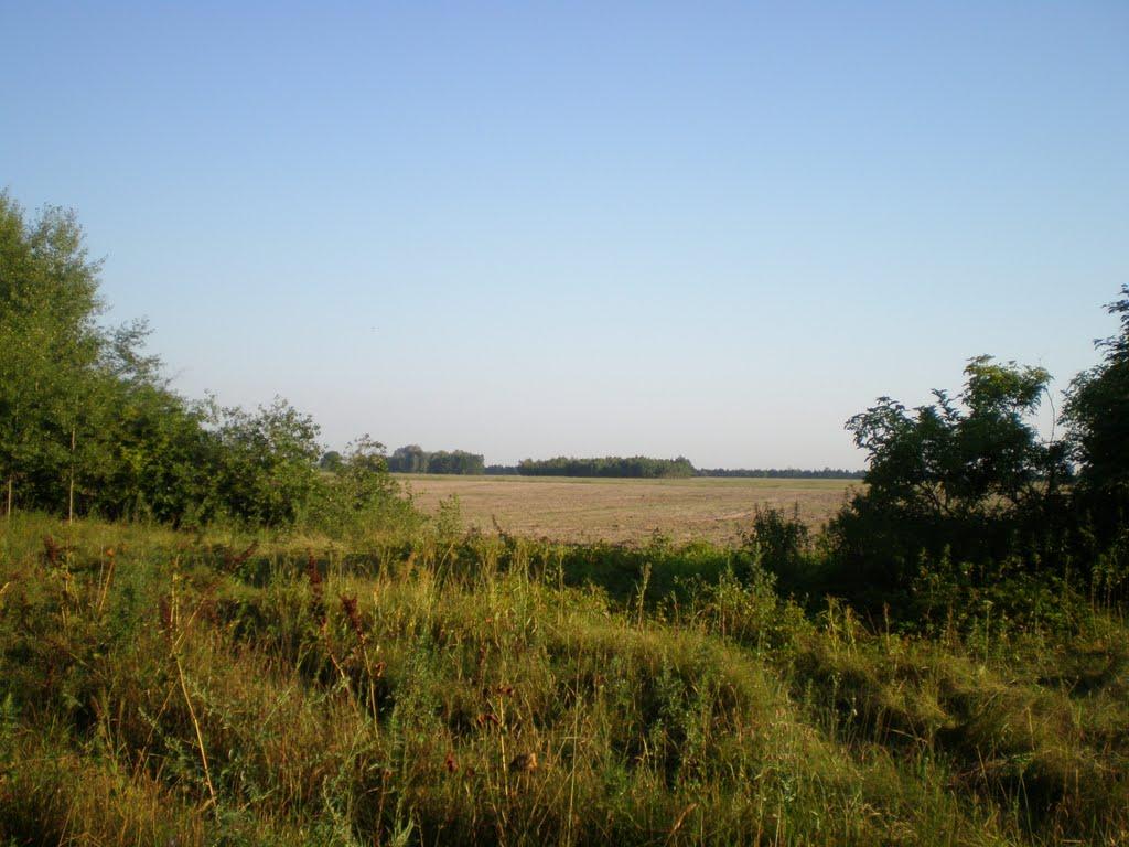 Чаплищі з panoramio.com - Чаплищі