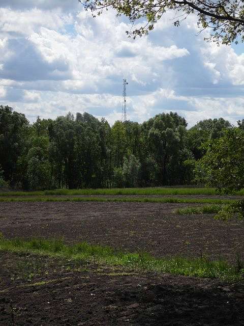 Життя  села - Сакуниха