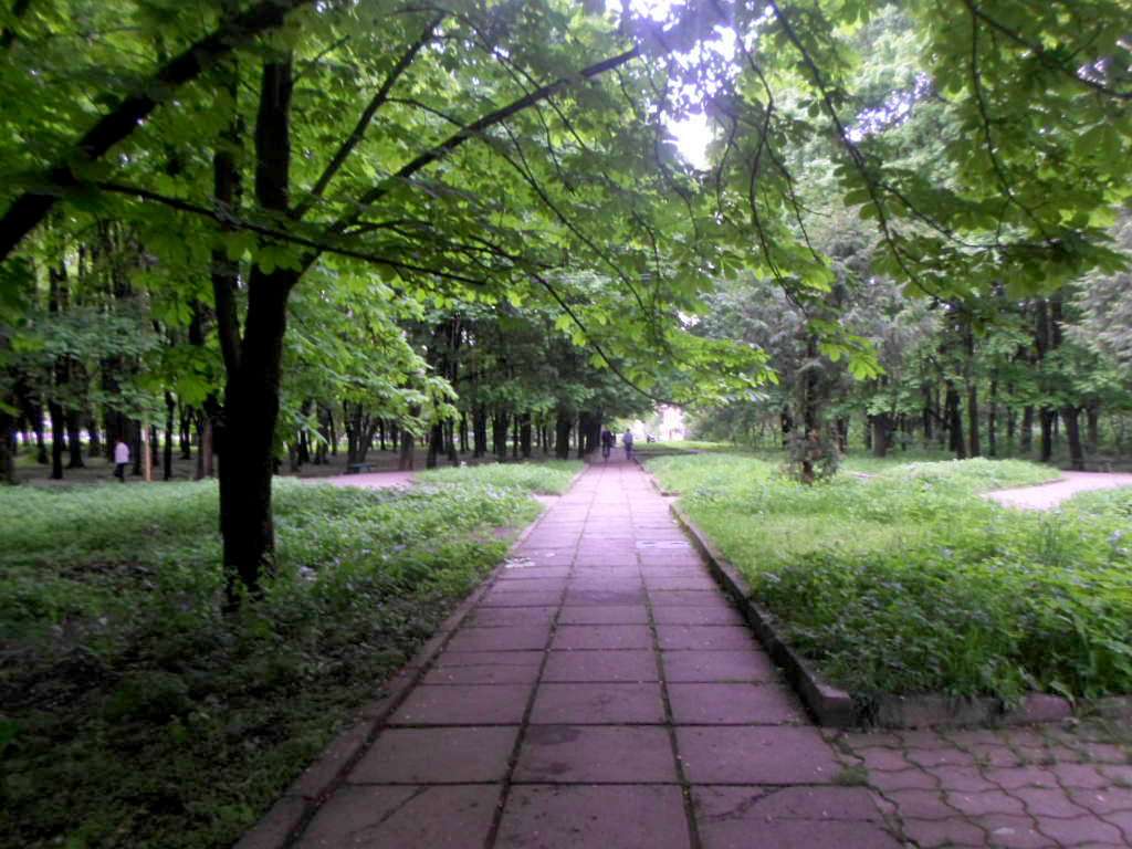 парки - Стрый