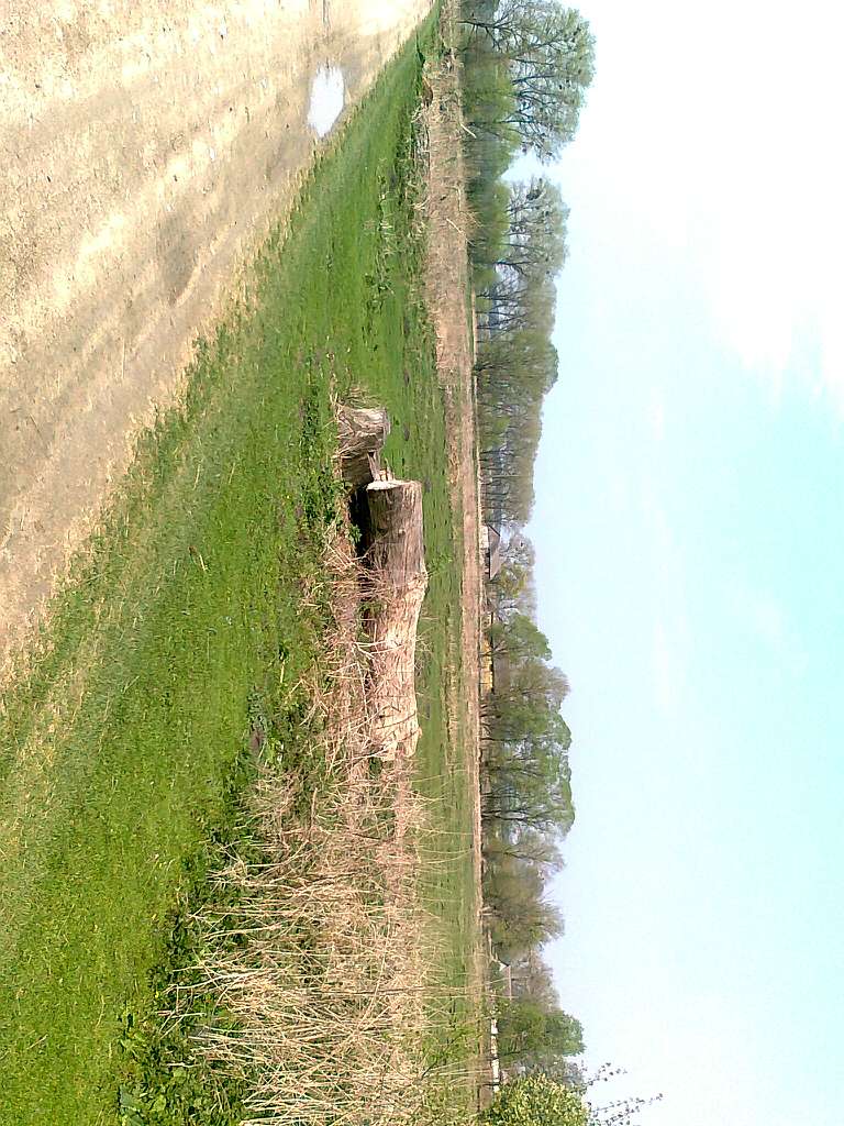 ТАК - Долоччя