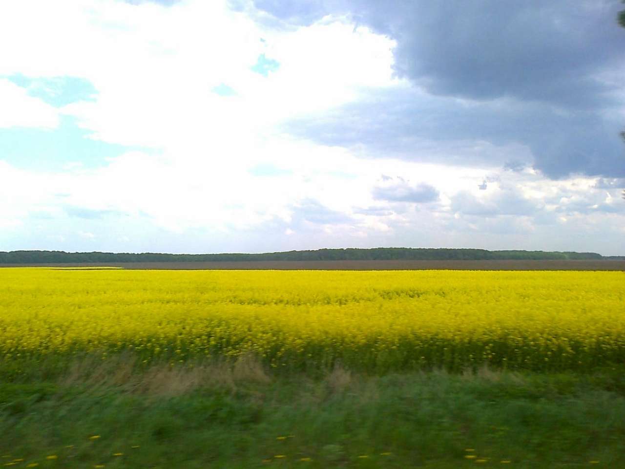 Шпола-географічний центр України - Шпола
