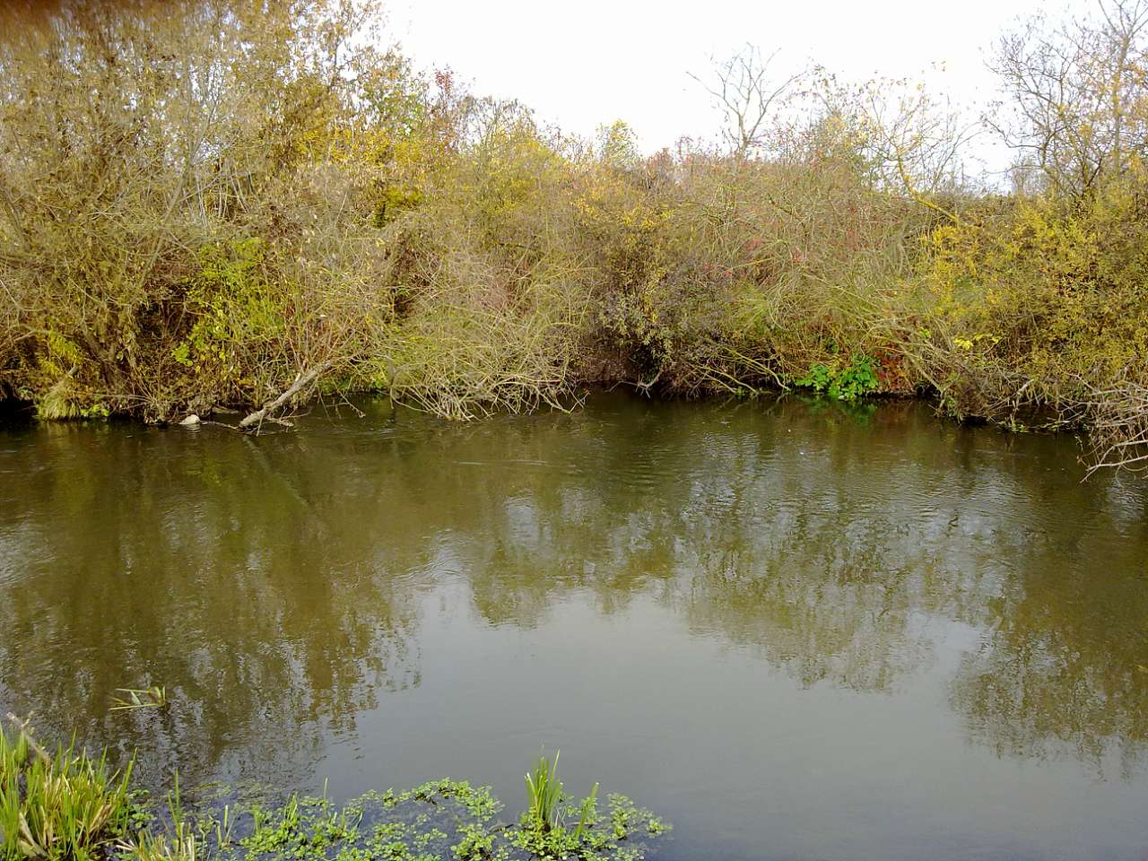 ТАК - Долочье