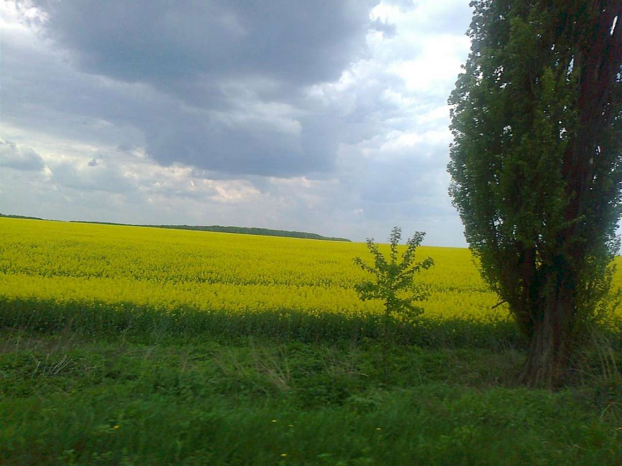 Шпола-географічний центр України - Шпола