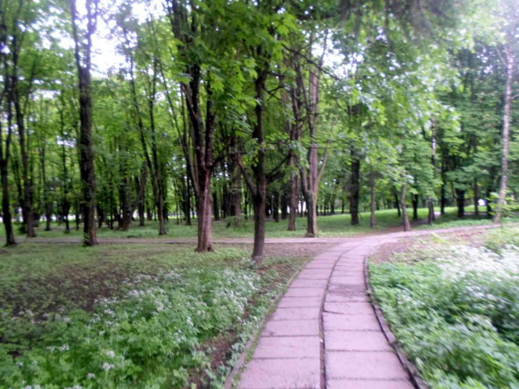 парки - Стрый
