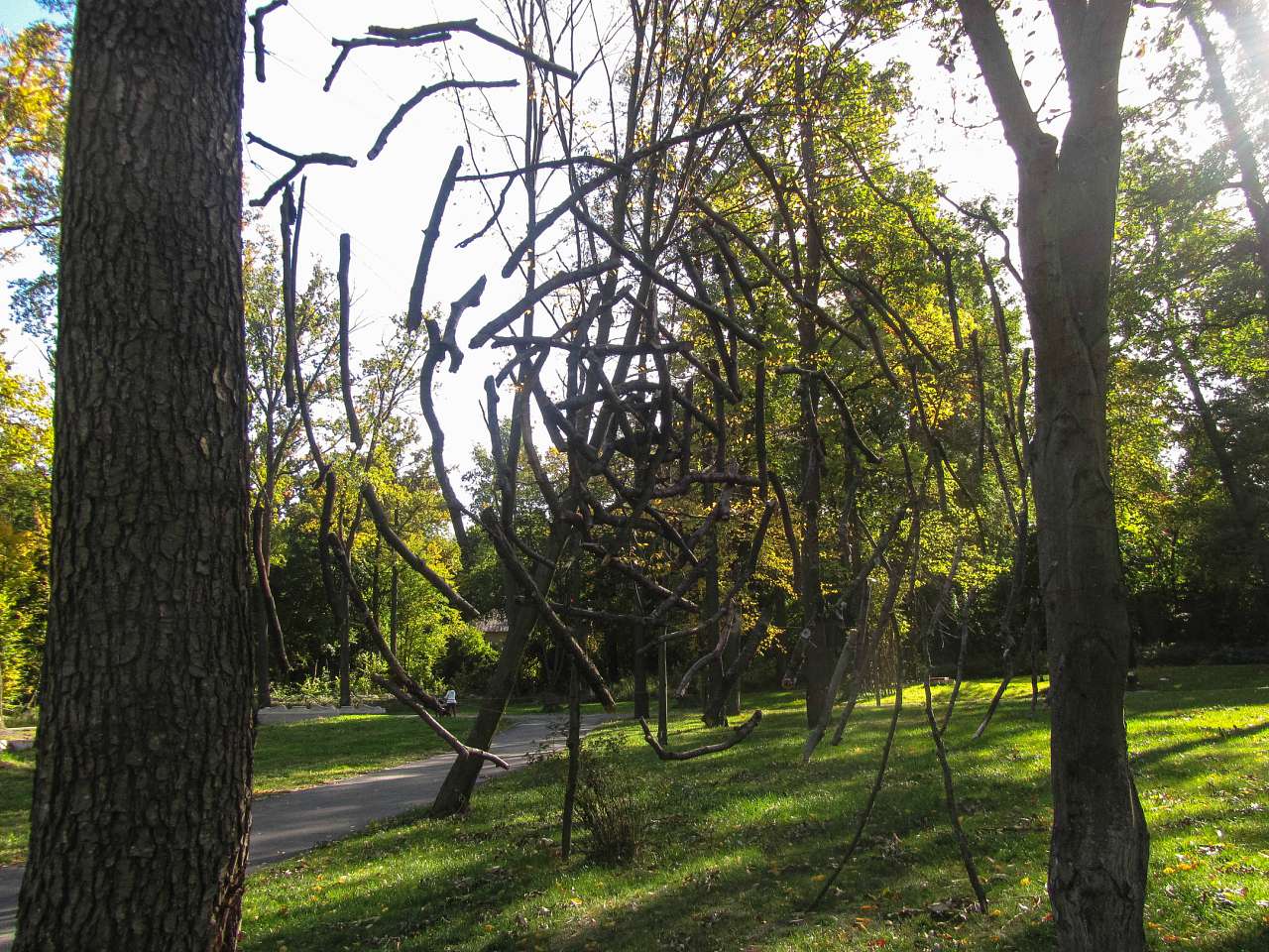 Сучасне місто - Буча