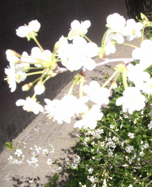 Мря родина - Новоохтирка