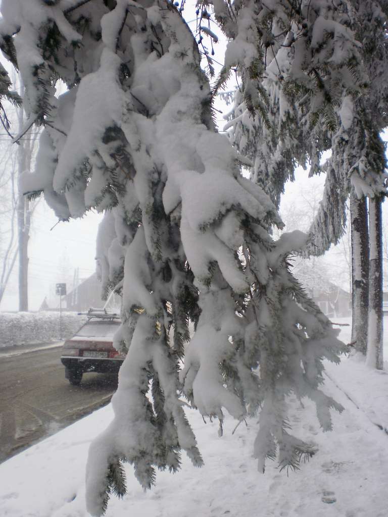 Трішки зими - Глибока